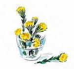 Иллюстрация к книге — Сибирский валенок [i_056.jpg]