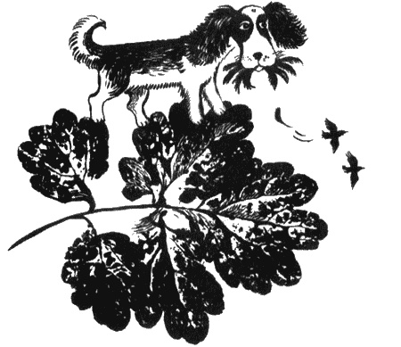 Иллюстрация к книге — Собаки не ошибаются [img37.jpg]