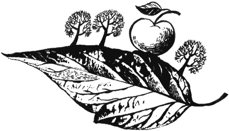 Иллюстрация к книге — Собаки не ошибаются [img39.jpg]