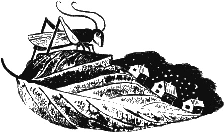 Иллюстрация к книге — Собаки не ошибаются [img46.jpg]