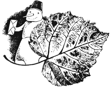 Иллюстрация к книге — Собаки не ошибаются [img52.jpg]