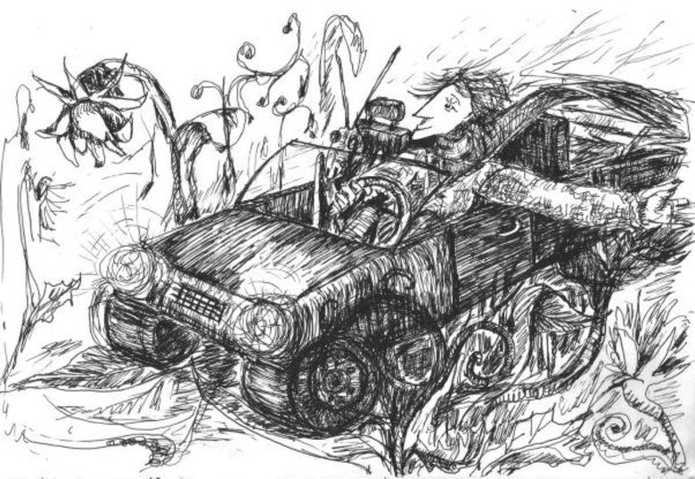 Иллюстрация к книге — Приключения Никтошки [i_002.jpg]