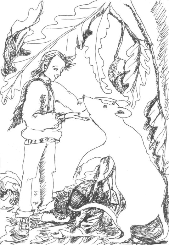 Иллюстрация к книге — Приключения Никтошки [i_010.jpg]