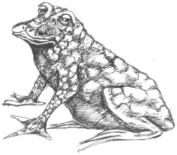 Иллюстрация к книге — Приключения Никтошки [i_018.jpg]