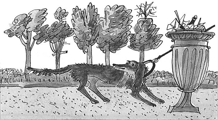 Иллюстрация к книге — А ты постарайся! [i_005.jpg]