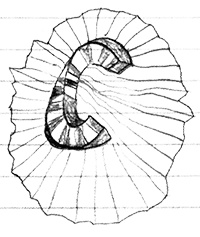 Иллюстрация к книге — Привет, это я! Первый поцелуй [i_087.jpg]