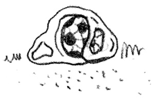 Иллюстрация к книге — Привет, это я! Первый поцелуй [i_359.jpg]