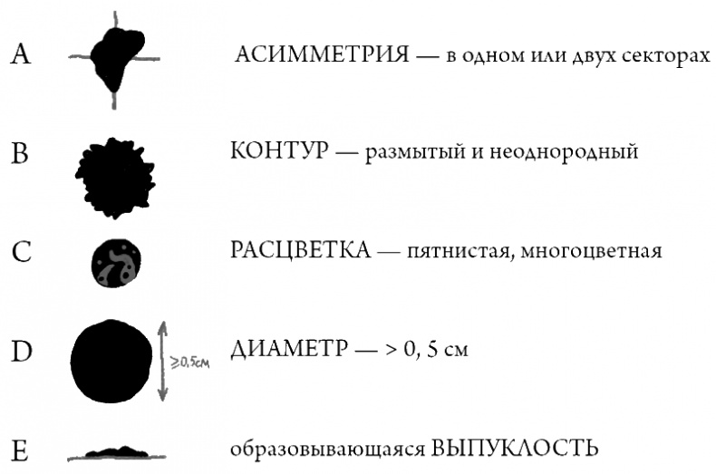 Иллюстрация к книге — Что скрывает кожа. 2 квадратных метра, которые диктуют, как нам жить [i_017.jpg]