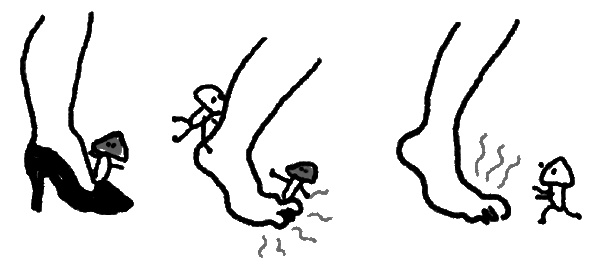 Иллюстрация к книге — Что скрывает кожа. 2 квадратных метра, которые диктуют, как нам жить [i_018.jpg]