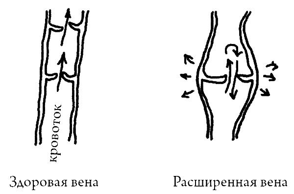 Иллюстрация к книге — Что скрывает кожа. 2 квадратных метра, которые диктуют, как нам жить [i_020.jpg]