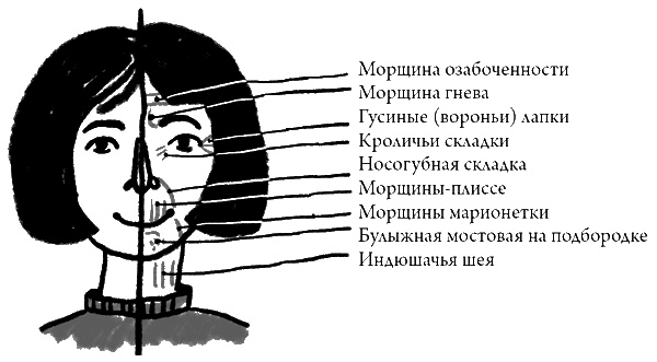 Иллюстрация к книге — Что скрывает кожа. 2 квадратных метра, которые диктуют, как нам жить [i_021.jpg]