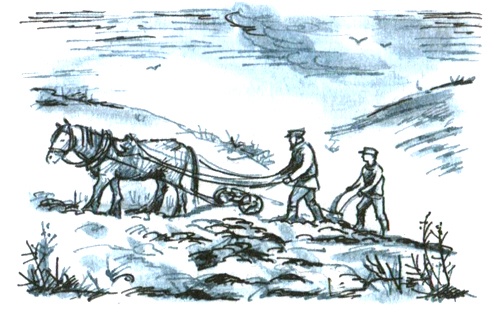 Иллюстрация к книге — Сахарный ребёнок. История девочки из прошлого века, рассказанная Стеллой Нудольской [i_012.jpg]