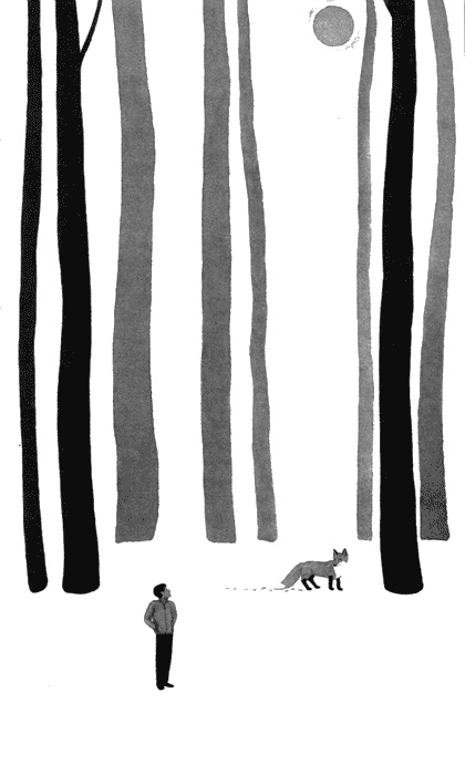 Иллюстрация к книге — Цветущий репейник [img05.jpg]