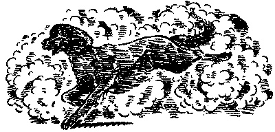 Иллюстрация к книге — Красный, как огонь [i_005.jpg]