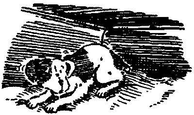 Иллюстрация к книге — Красный, как огонь [i_007.jpg]