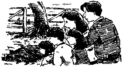 Иллюстрация к книге — Красный, как огонь [i_015.jpg]