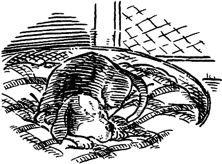 Иллюстрация к книге — Похищение века [i_002.jpg]