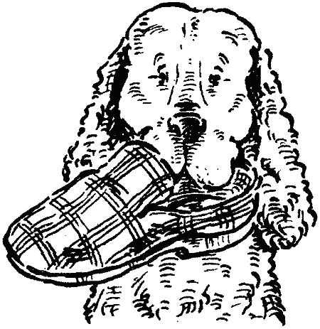 Иллюстрация к книге — Похищение века [i_005.jpg]