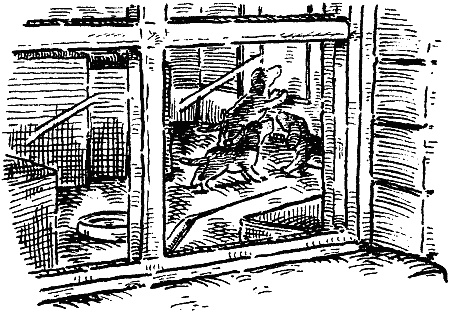 Иллюстрация к книге — Похищение века [i_012.jpg]