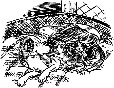 Иллюстрация к книге — Похищение века [i_015.jpg]