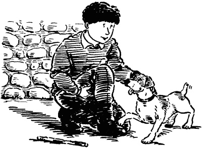 Иллюстрация к книге — Собачье счастье [i_001.jpg]