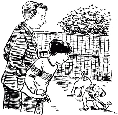 Иллюстрация к книге — Собачье счастье [i_011.jpg]