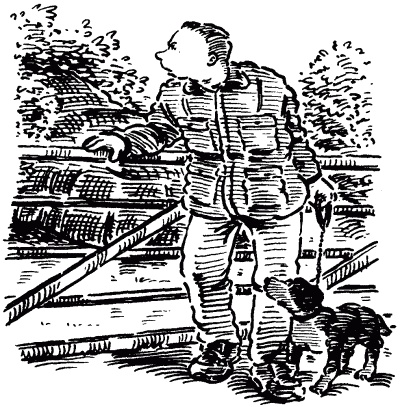 Иллюстрация к книге — Собачье счастье [i_012.jpg]