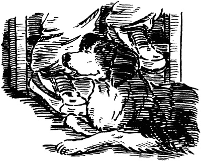 Иллюстрация к книге — Собачье счастье [i_015.jpg]