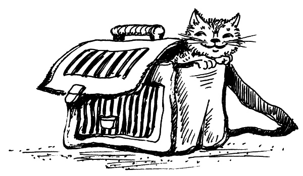 Иллюстрация к книге — Классный выдался денек! [_02.jpg]