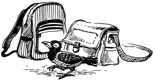 Иллюстрация к книге — Классный выдался денек! [_35.jpg]