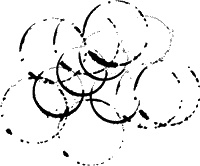 Иллюстрация к книге — 52-е февраля [i_007.jpg]