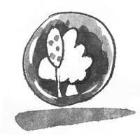 Иллюстрация к книге — Я хочу в школу [i_144.jpg]