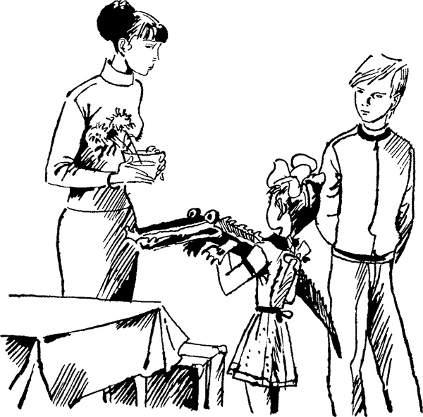 Иллюстрация к книге — Жизнь и приключения чудака [i_028.jpg]