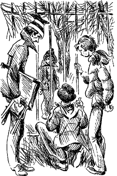 Иллюстрация к книге — Чучело-2, или Игра мотыльков [i_019.jpg]