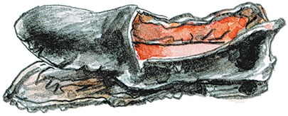 Иллюстрация к книге — Лёля и Минька (сборник) [i_013.jpg]