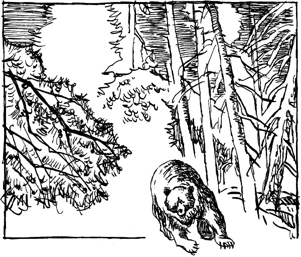 Иллюстрация к книге — Двое в декабре [i_012.jpg]