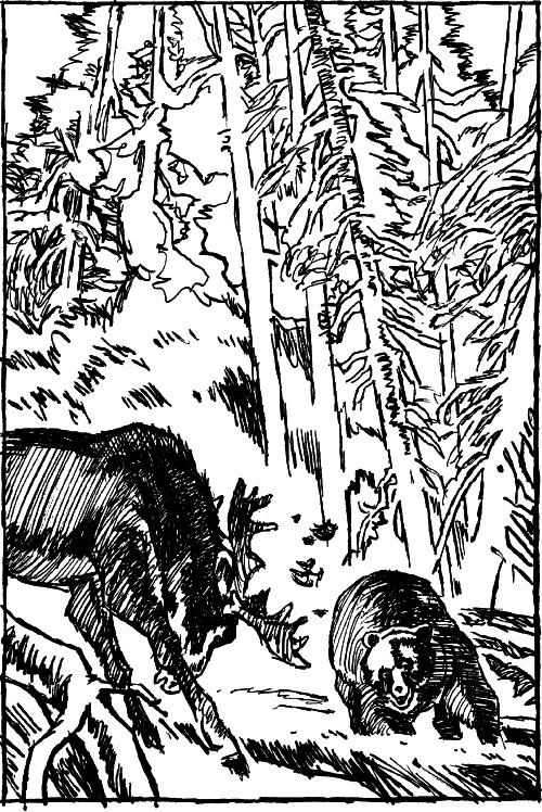 Иллюстрация к книге — Двое в декабре [i_013.jpg]