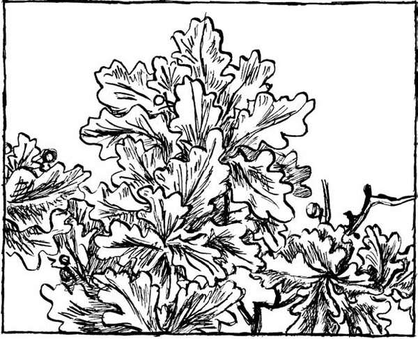 Иллюстрация к книге — Двое в декабре [i_020.jpg]