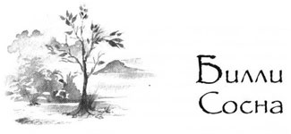 Иллюстрация к книге — Образование Маленького Дерева [i_014.jpg]