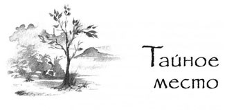 Иллюстрация к книге — Образование Маленького Дерева [i_016.jpg]