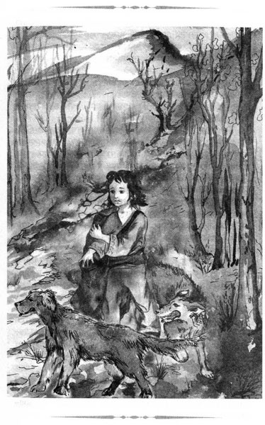 Иллюстрация к книге — Образование Маленького Дерева [i_021.jpg]