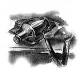 Иллюстрация к книге — Образование Маленького Дерева [i_022.jpg]