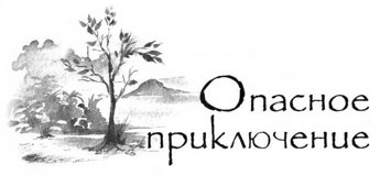 Иллюстрация к книге — Образование Маленького Дерева [i_029.jpg]