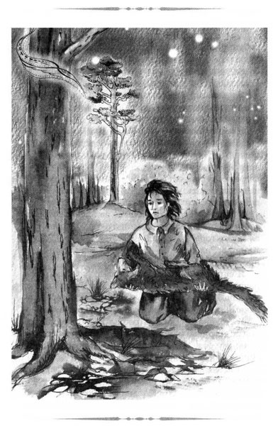 Иллюстрация к книге — Образование Маленького Дерева [i_054.jpg]