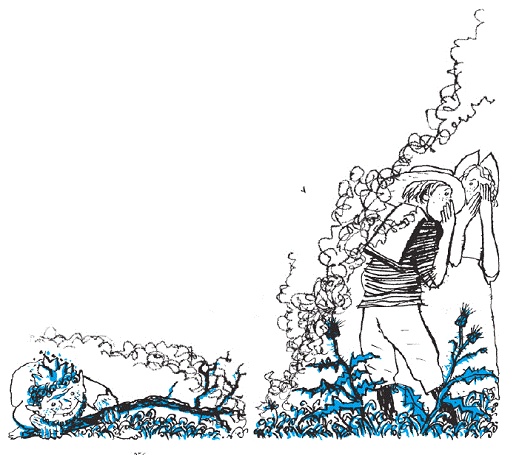 Иллюстрация к книге — Подарки фей [pic_130.jpg]