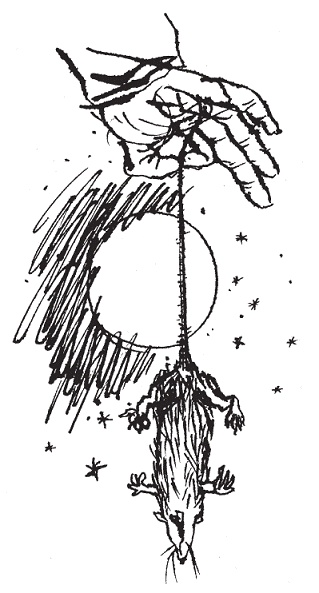 Иллюстрация к книге — Подарки фей [pic_157.jpg]