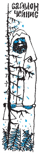 Иллюстрация к книге — Подарки фей [pic_166.jpg]