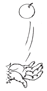 Иллюстрация к книге — Подарки фей [pic_170.jpg]