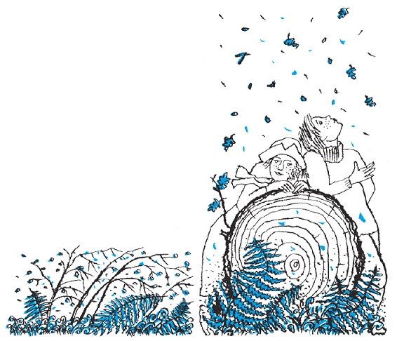 Иллюстрация к книге — Подарки фей [pic_177.jpg]