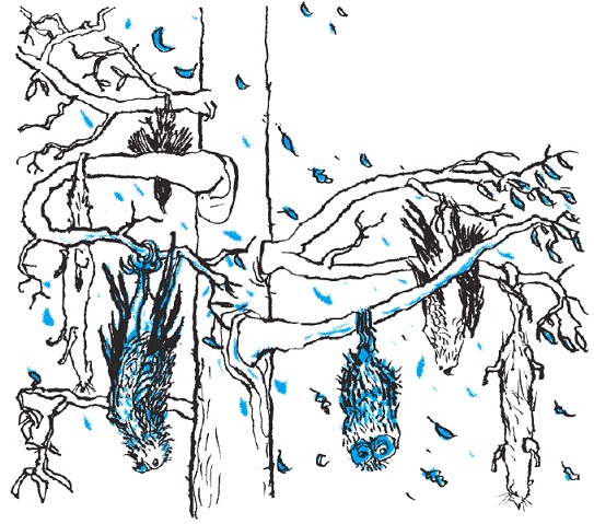 Иллюстрация к книге — Подарки фей [pic_179.jpg]